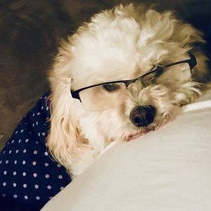 Meet your Posher, Edith